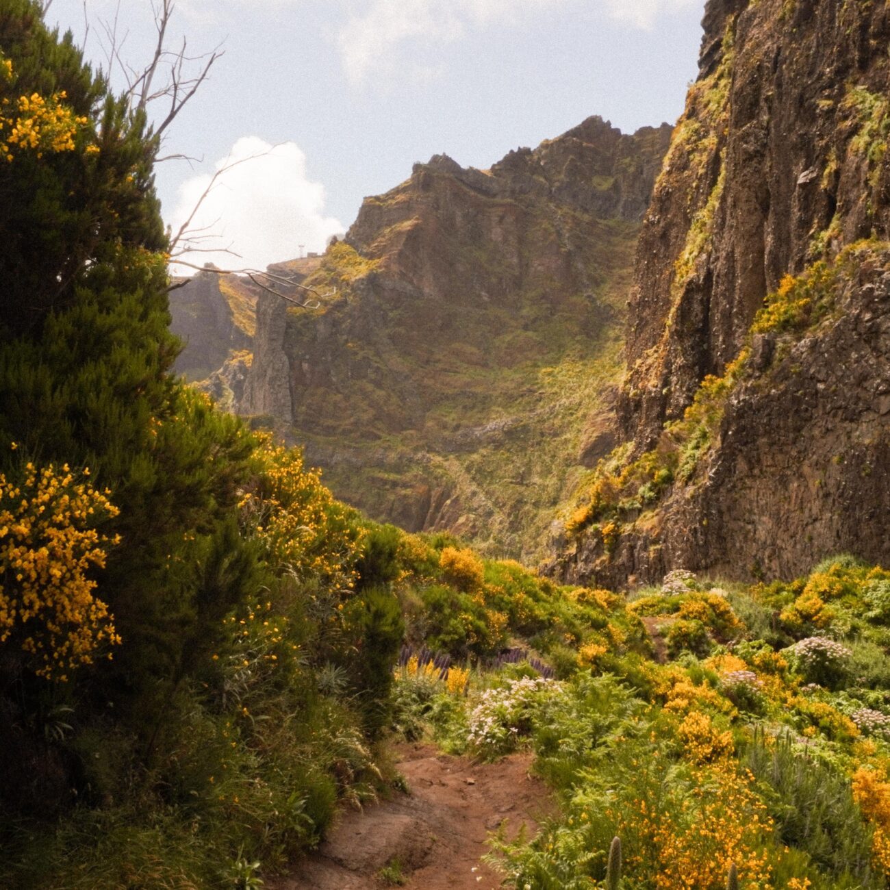 Madeira - v horách
